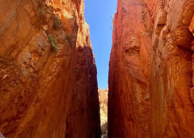 The Unique Wildlife of West MacDonnell Ranges: A Nature Lover’s Paradise