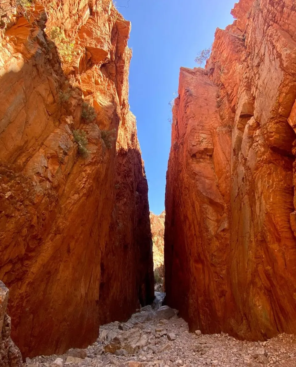 The Unique Wildlife of West MacDonnell Ranges: A Nature Lover’s Paradise