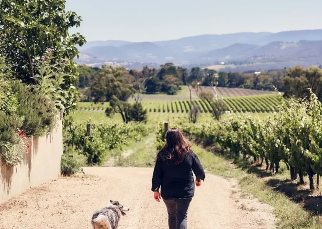 Women in Yarra Valley Wine: Celebrating Female Winemakers and Leaders