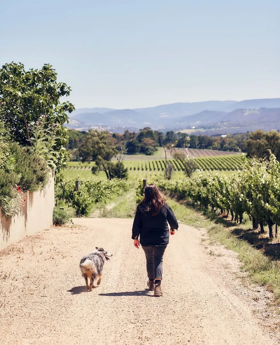 Women in Yarra Valley Wine: Celebrating Female Winemakers and Leaders