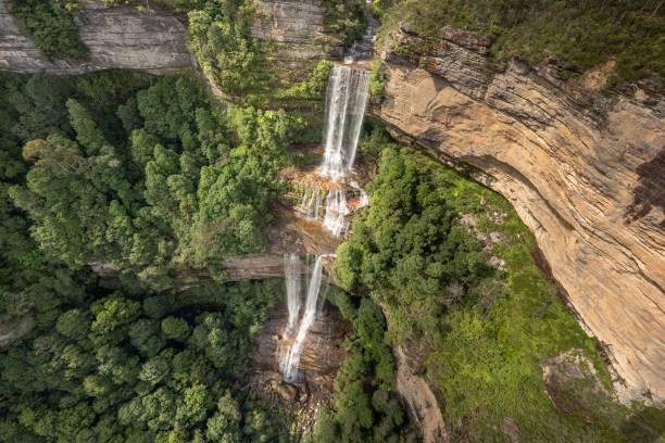 Discover the Beauty of the Blue Mountains on a Guided Tour from Sydney