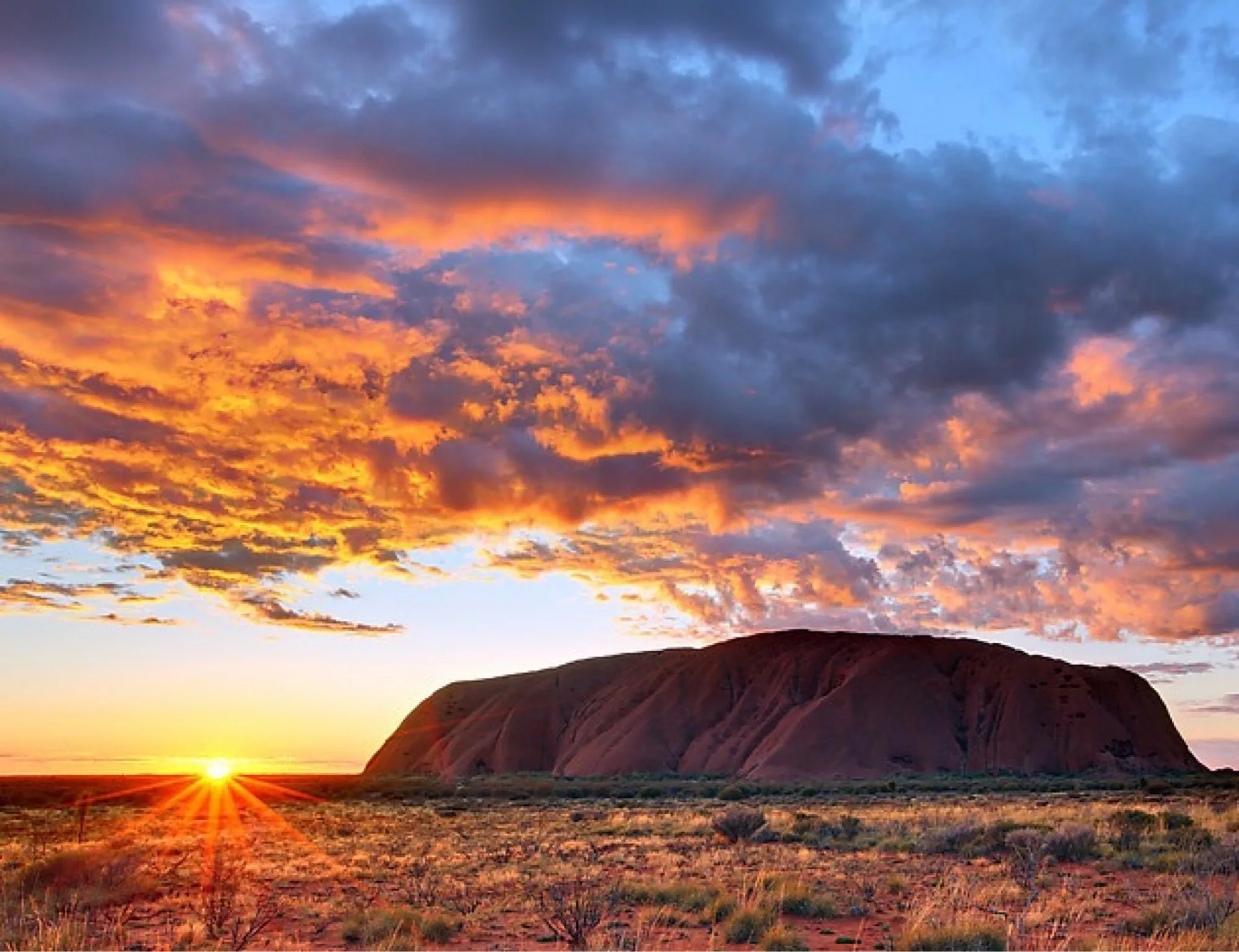 Embark on a Journey to Kings Canyon from Uluru