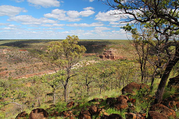 Explore Stay Options in Litchfield National Park | Accommodation Guide